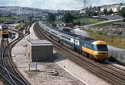 43002 Laira 8 September 1980