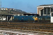 50005 Laira 17 April 1979