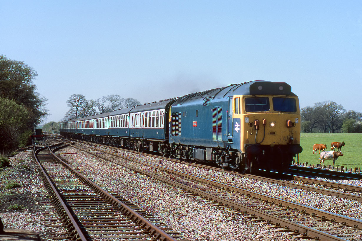 50013 Spetchley 28 April 1984